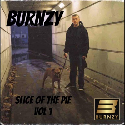 Slice of the Pie, Vol. 1