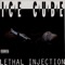 Bop Gun (One Nation) [feat. George Clinton] - Ice Cube lyrics