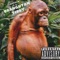 Orangutan Tiddy - Spablo T.E. lyrics