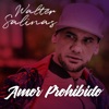 Amor Prohibido - Single