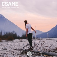 You've Been Blaming Me - Single - Csame