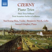 Sun-Young Shin - Sonatina for Piano Trio in A Minor, Op. 104 No. 3: I. Allegro molto