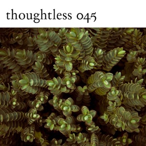 Quantum Perspective - EP