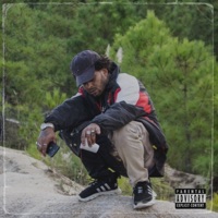Fuga da Blitz - Single - Zombie Johnson