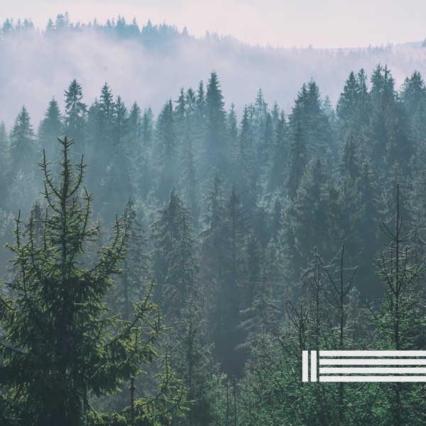 Sounds of Forest, Wind & Birds (Loopable, No Fade)