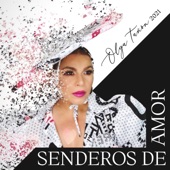 Senderos de Amor artwork