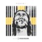 Image of God - We Are Messengers lyrics