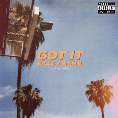 Got it (feat. Wamu) - Single
