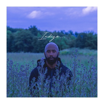 Indigo (feat. Travis Mendes & Kola Rai) - Single