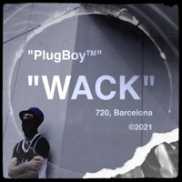 WACK - Single - PlugBoy