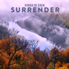 Surrender - Songs Of Eden