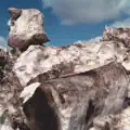 To Scale A Fish