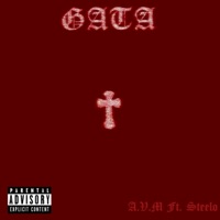 GATA (feat. Steelo) - Single - avm