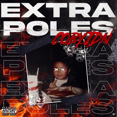 Extra Poles - Single