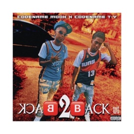 Back 2 Back (feat. Codename Mook) Codename TY