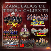 Zapateados de Tierra Caliente - Various Artists