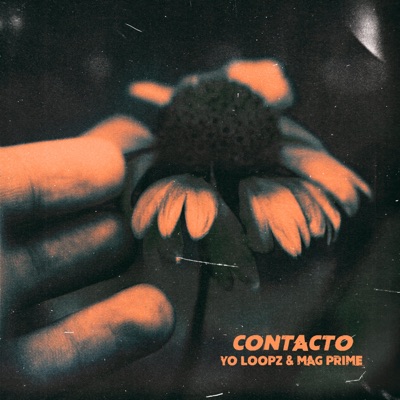 Contacto - Single
