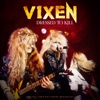 Vixen - I Want You To Rock Me (Live 1990)