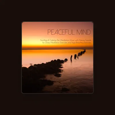 Listen to Peaceful Music Orchestra, watch music videos, read bio, see tour dates & more!