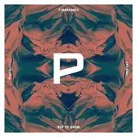 Got to Know (Sebas Ramis Remix) — T.Markakis