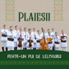 Pentr-Un Pui De Lelisoara - Plaiesii