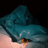 way back when (feat. Gio Genesis) - Single - Gate$