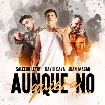 Aunque No Quiera (Remix) - Single