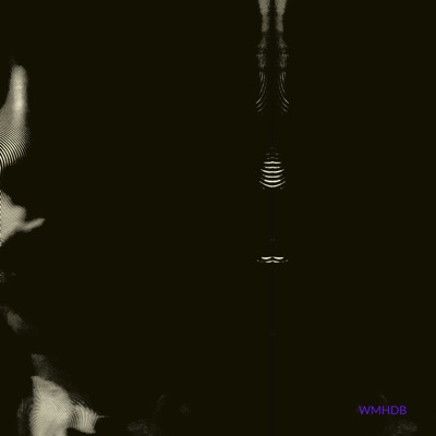 Warum mein Herz dich braucht - Single
