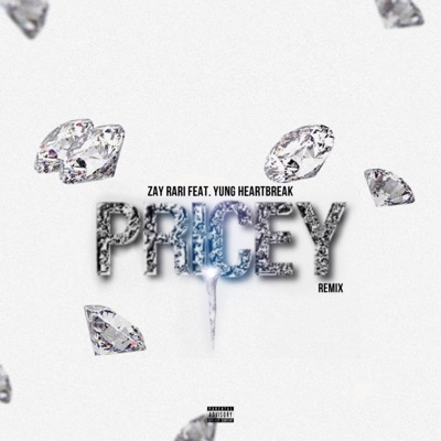 Pricey (feat. Yung Heartbreak) [Remix] [Remix] - Single