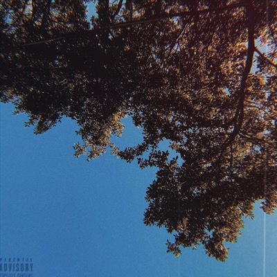 Think About It (feat. ApexLeon) - Single