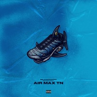 Air Max Tn (feat. gosha) - Single - Belayapiramida