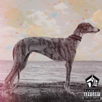 Frostschock (feat. EUROSTEP2K20) - Single - Renji 56