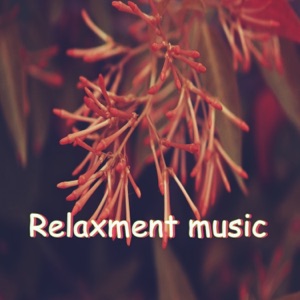 Relaxment Music (feat. ChillLofi Music & Cassette Music Lofi)