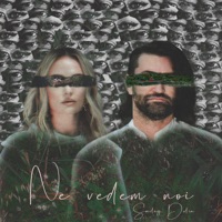 Ne vedem noi - Single - Smiley & Delia