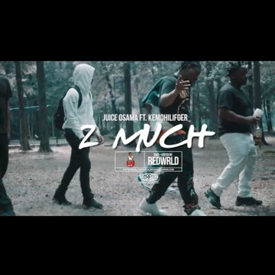 2 MUCH (feat. KemoHilfiger) - Single