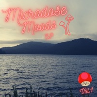 Microdose Moods, Vol. 1 - Nathin Nice