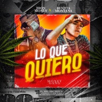 Lo que quiero (feat. benjita montana) - Single - Jhon Money