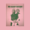 BIG DADDY SULTAAN (feat. DHALIWAL & GILL) - Single