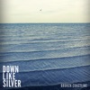 Down Like Silver - Broken Coastline