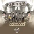 CASO PERDIDO
