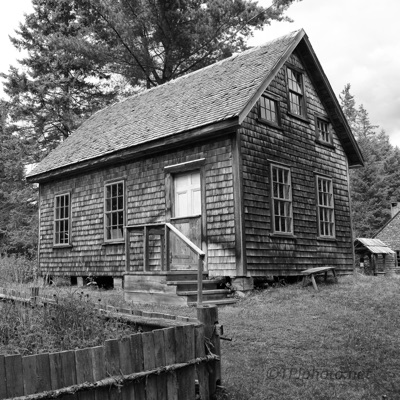 Songs of the Birth, Love and the Death