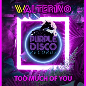 Too Much of You - Single