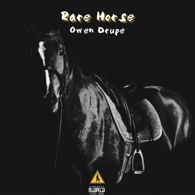 Rare Horse - Single