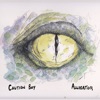 Caution Boy - Consolation