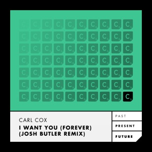 I Want You (Forever) [Josh Butler Remix - Radio Edit]