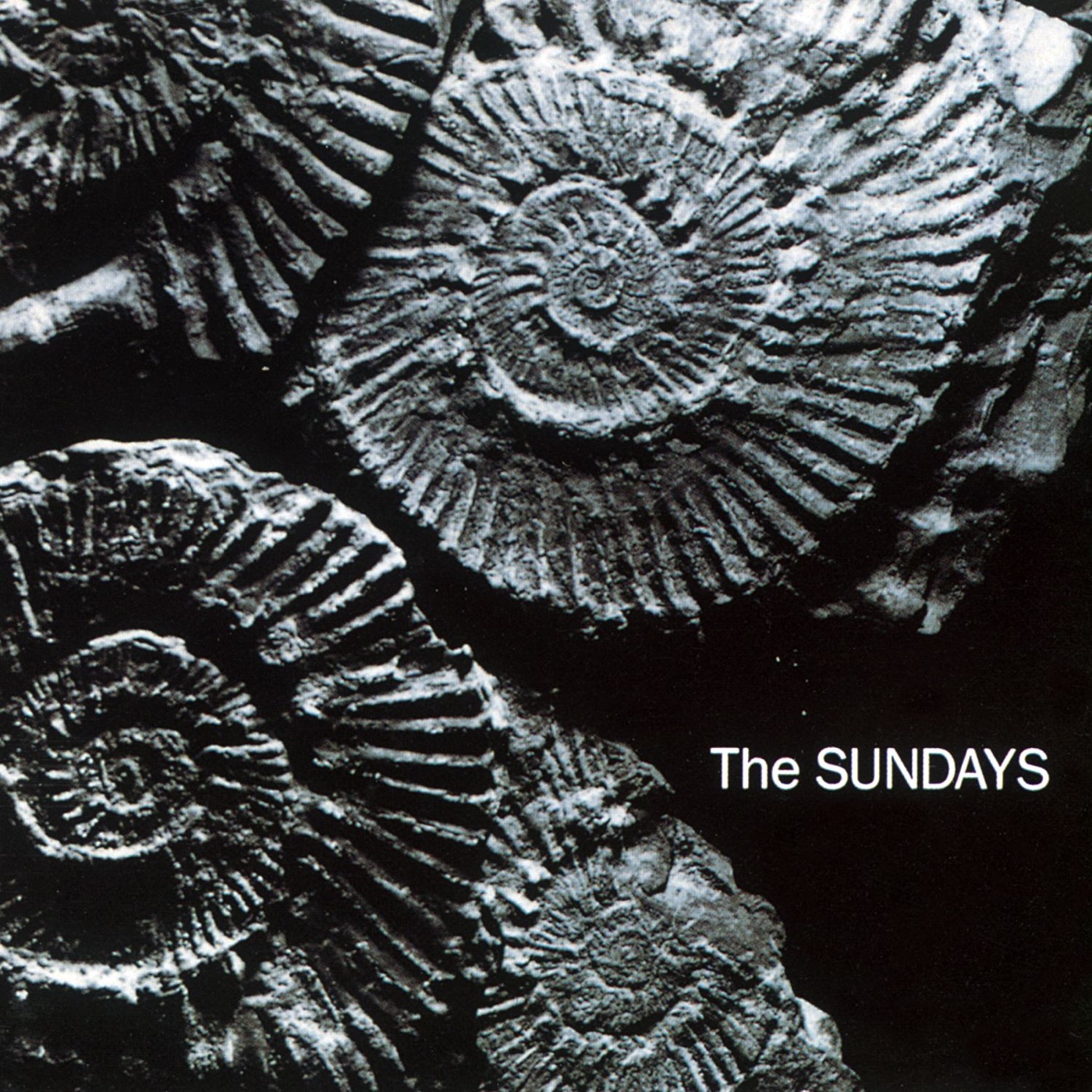 Reading, Writing And Arithmetic by The Sundays
