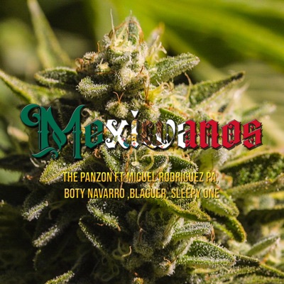Mexiwanos (feat. Miguel Rodriguez Pa, Boty Navarro, Blaguer & Sleepy One) - Single