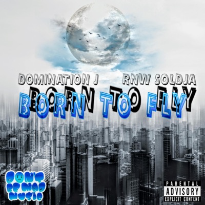 Born To Fly (feat. RNWSOLDJA) - Single