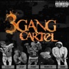 3 Gang Cartel : The MixTape