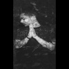 DJ Yofa - انتي بسكوتاية مقرمشة - ريمكس توزيع يوفا